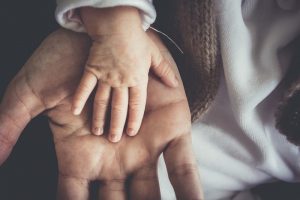 infant and adult hands