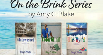 On the Brink Series by Amy C Blake