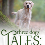 Three Dogs' Tales by Susan R. Lawrence