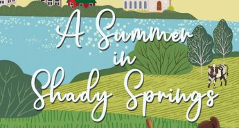 A summer in shady springs featured image