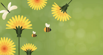 June Reader Challenge