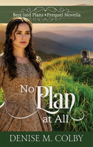 No Plan at All by Denise M. Colby