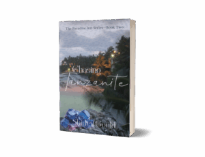 Book cover of Chasing Tanzanite by Shirley Gould, featuring sparkling blue and violet gemstones on a rocky shore with palm trees and evening lights in the background. Paradise Inn Series—Book Two.