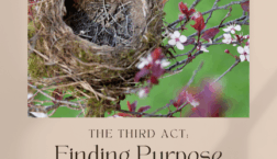 Empty bird’s nest resting on a flowering tree branch with the text “The Third Act: Finding Purpose After the Children Fly the Coop” and the Scrivenings Press logo.