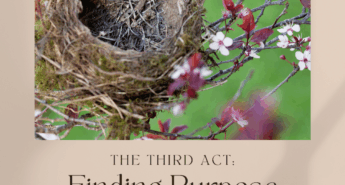 Empty bird’s nest resting on a flowering tree branch with the text “The Third Act: Finding Purpose After the Children Fly the Coop” and the Scrivenings Press logo.