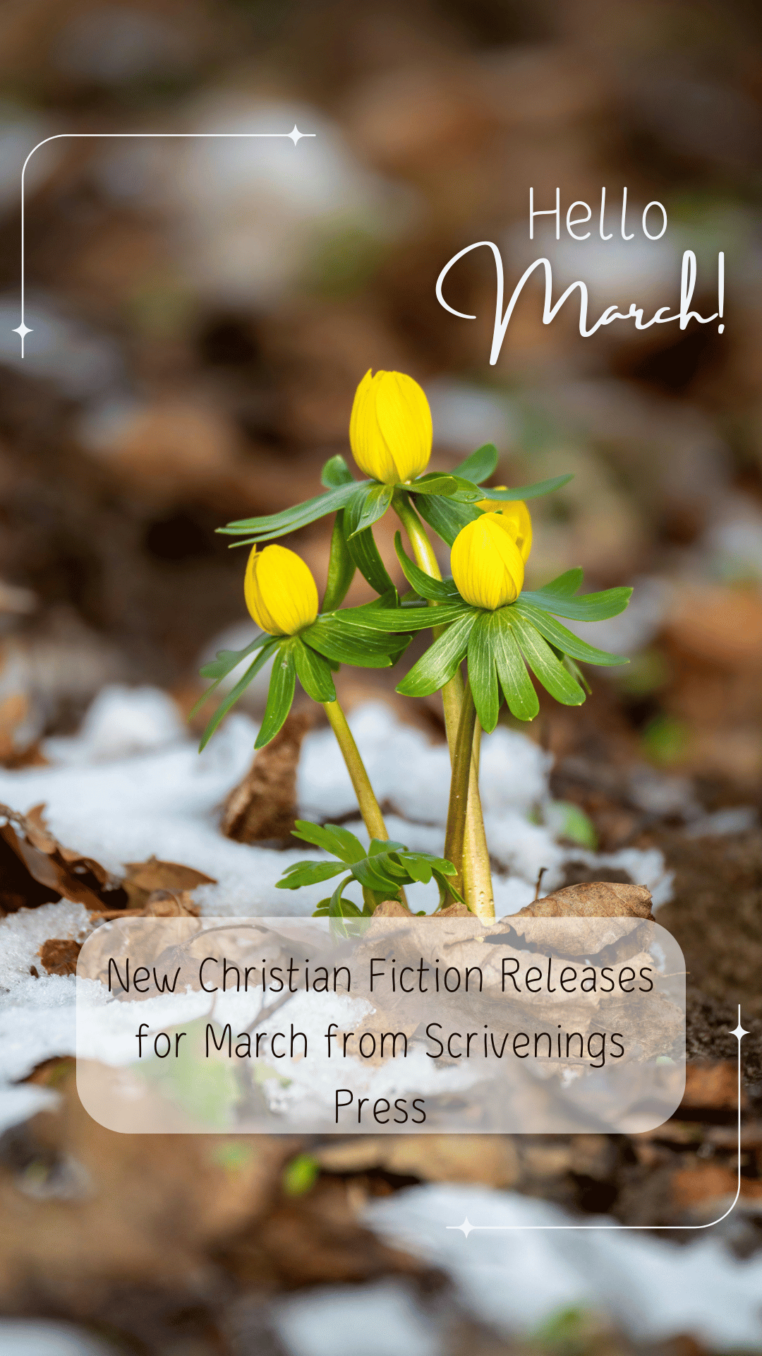 Yellow spring flowers emerging through melting snow with text that reads “Hello March! New Christian Fiction Releases for March from Scrivenings Press.”