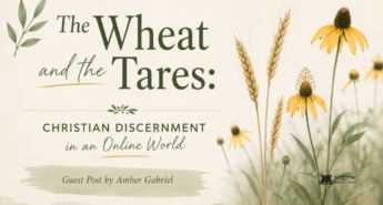 A soft, minimalist blog header in muted sage green, cream, and golden yellow. The title, “The Wheat and the Tares,” appears in elegant serif and script fonts on the left, with the subtitle “Christian Discernment in an Online World” centered below. A banner reads “Guest Post by Amber Gabriel.” On the right, golden wheat stalks and yellow prairie coneflowers rise from a blurred meadow background. Delicate botanical illustrations and watercolor textures create a calm, nature-inspired design that evokes themes of discernment, growth, and faith.